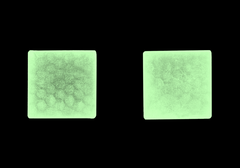 Patch IR Reflective 2.5x2.5cm - Clawgear