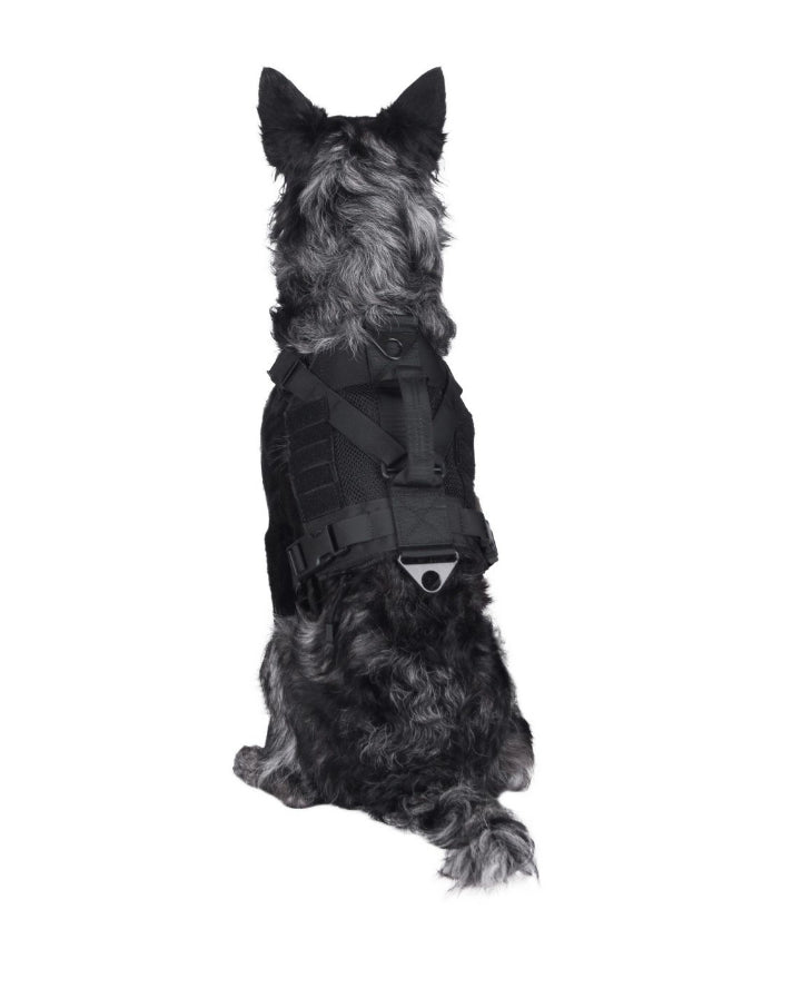 Primal Gear - Pettorina Tactical per Cani - Black