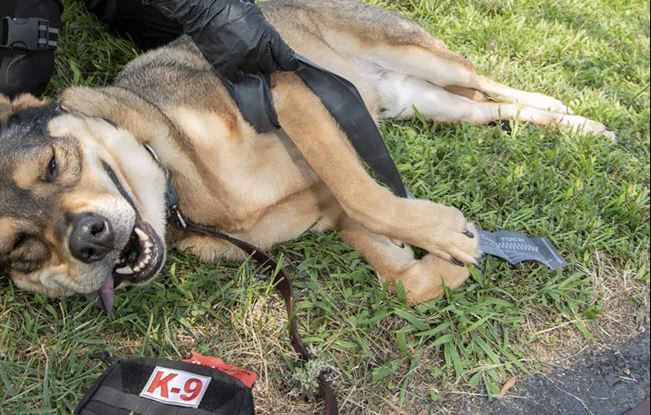 SWAT-T™ Tourniquet Laccio Emostatico - Black